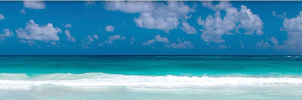 AquaticFood4FSN Profile Banner