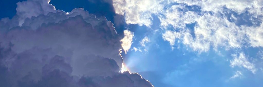 soffyartz_'s profile banner image