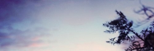 Lis's banner