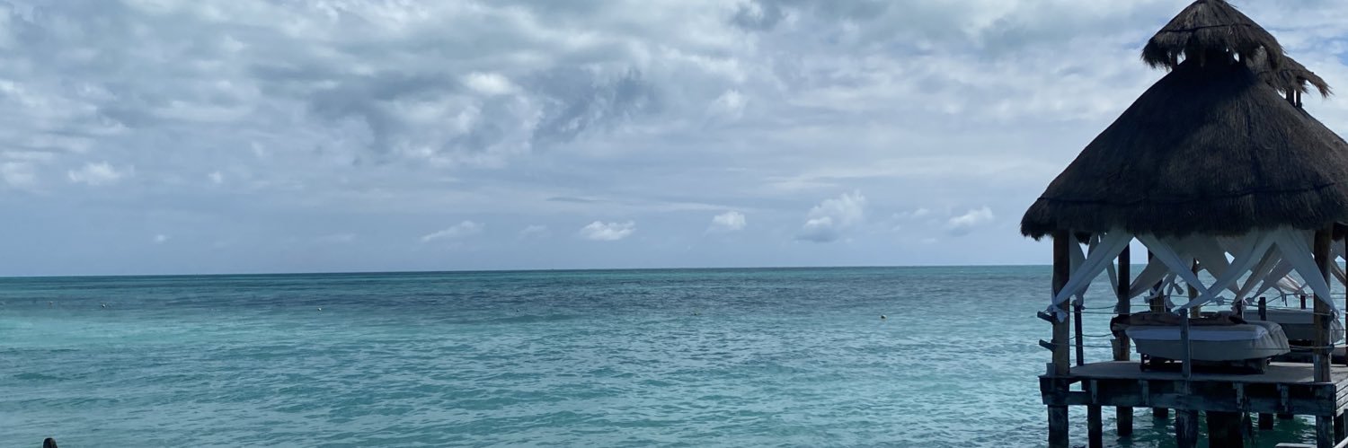 raynaabarrett's profile banner image