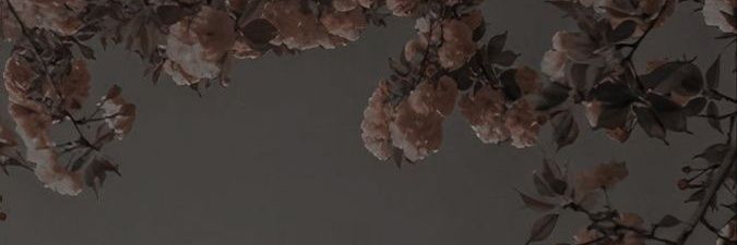 hneemoon's profile banner image
