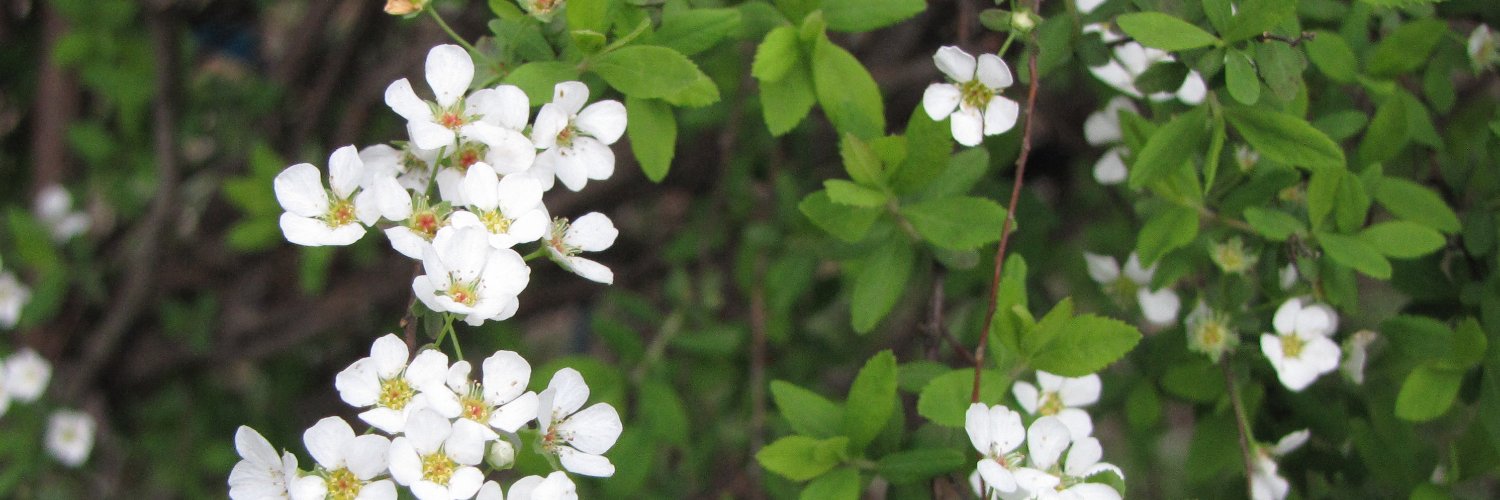 plum_pot_221b's profile banner image