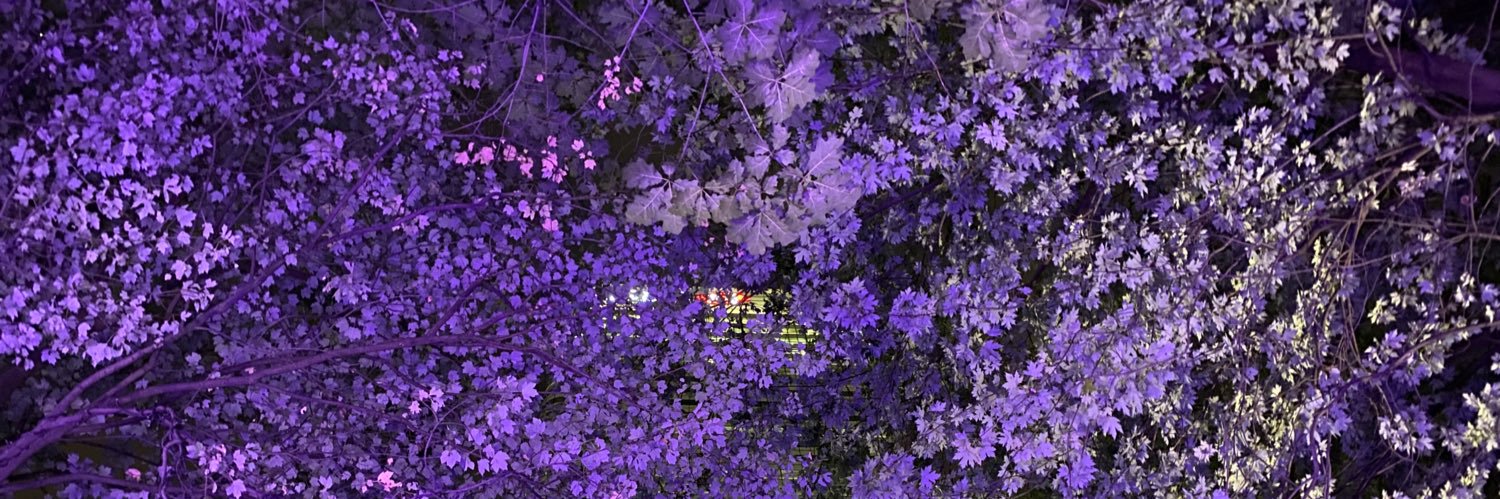 vadimduna's profile banner image