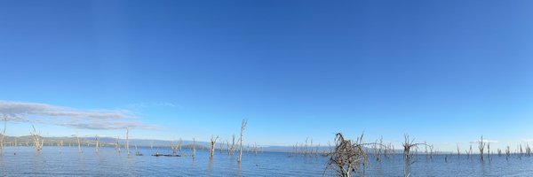 ClaridgeLucy Profile Banner