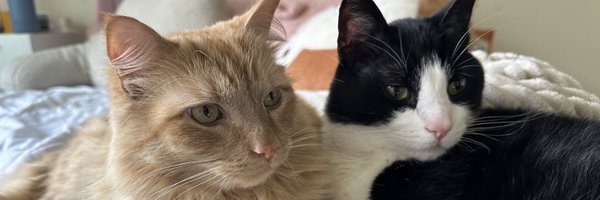 tylergottea Profile Banner