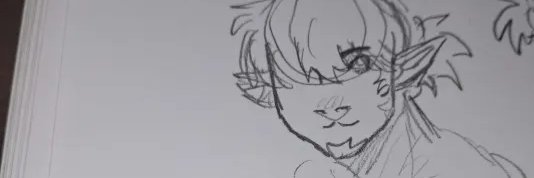 Zeenest #1 Vyncent Sol fan.'s banner