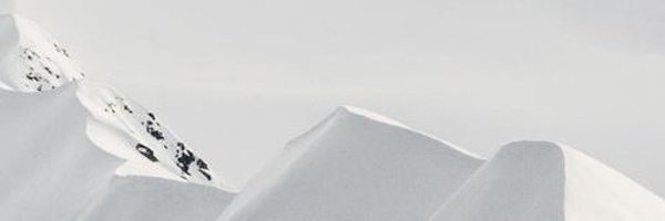 Riel01231 Profile Banner