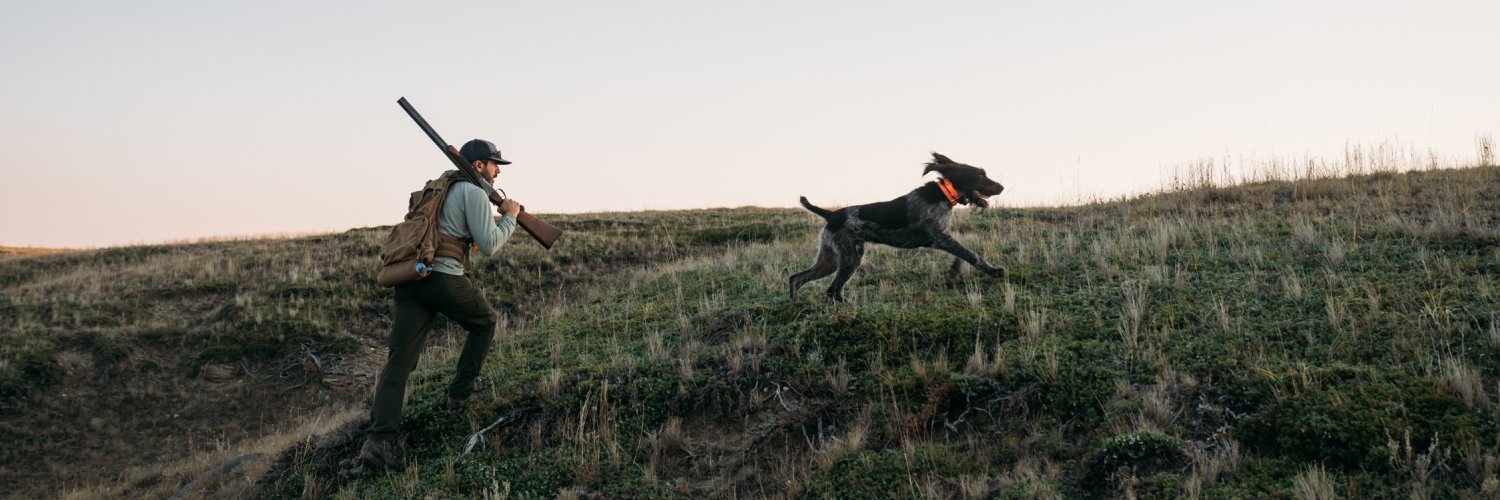 visitmontana's profile banner image