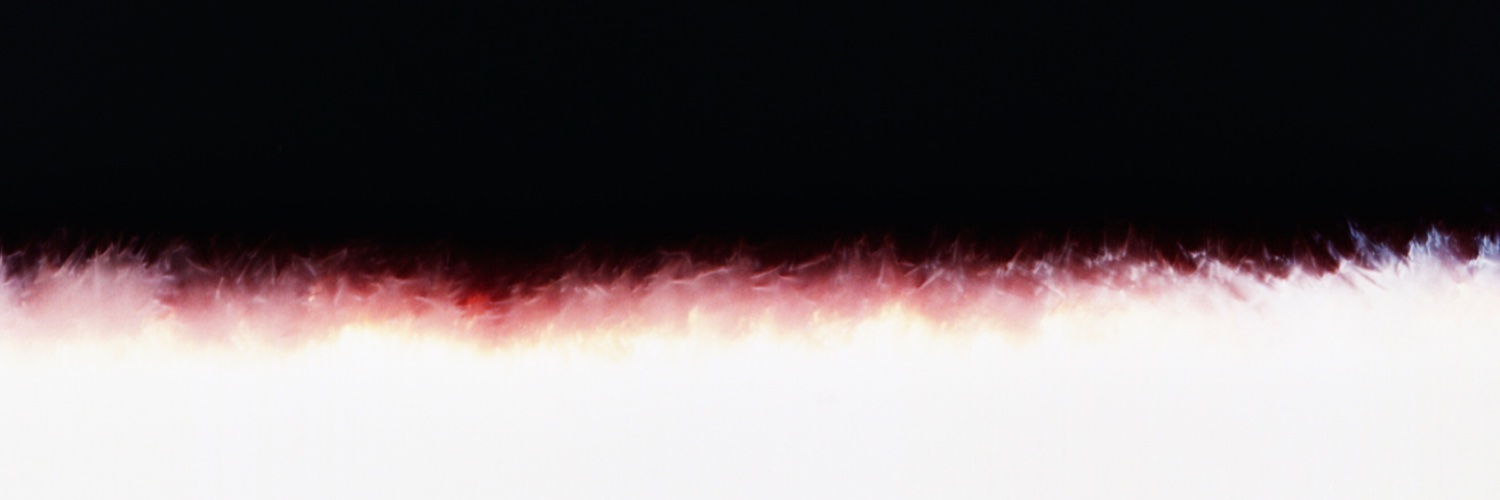 CKara0's profile banner image