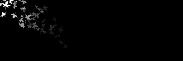 Sckopy2Valid Profile Banner