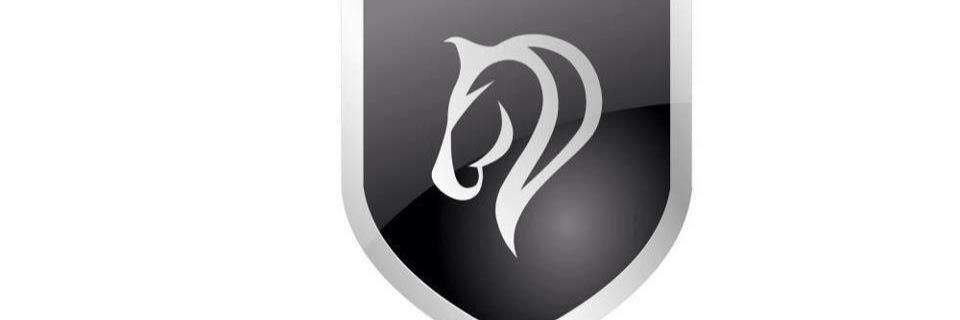 stablequestrian's profile banner image