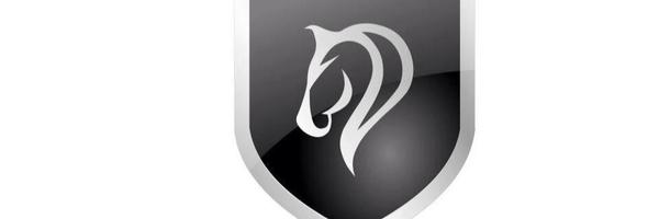 stablequestrian Profile Banner