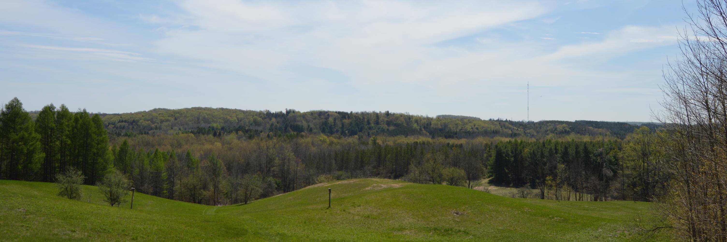 UWaterloo Ecology Lab 🌱 banner