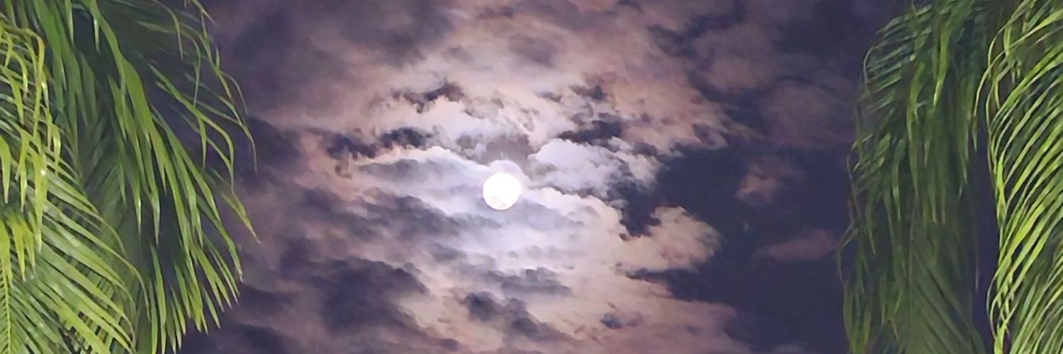 titoely's profile banner image
