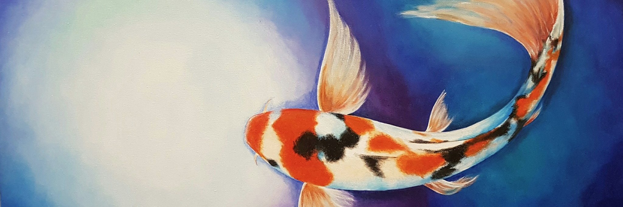 hsc4300's profile banner image