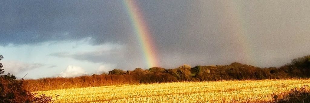 jez_put's profile banner image