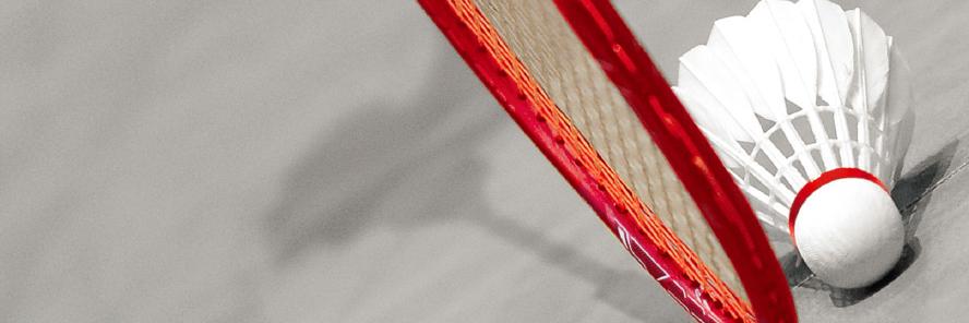 Play Badminton banner