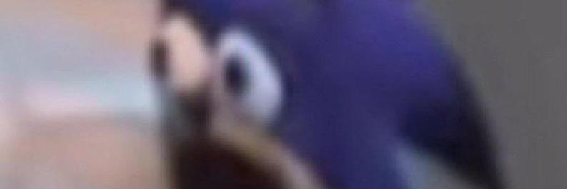 telos 🇲🇽 banner