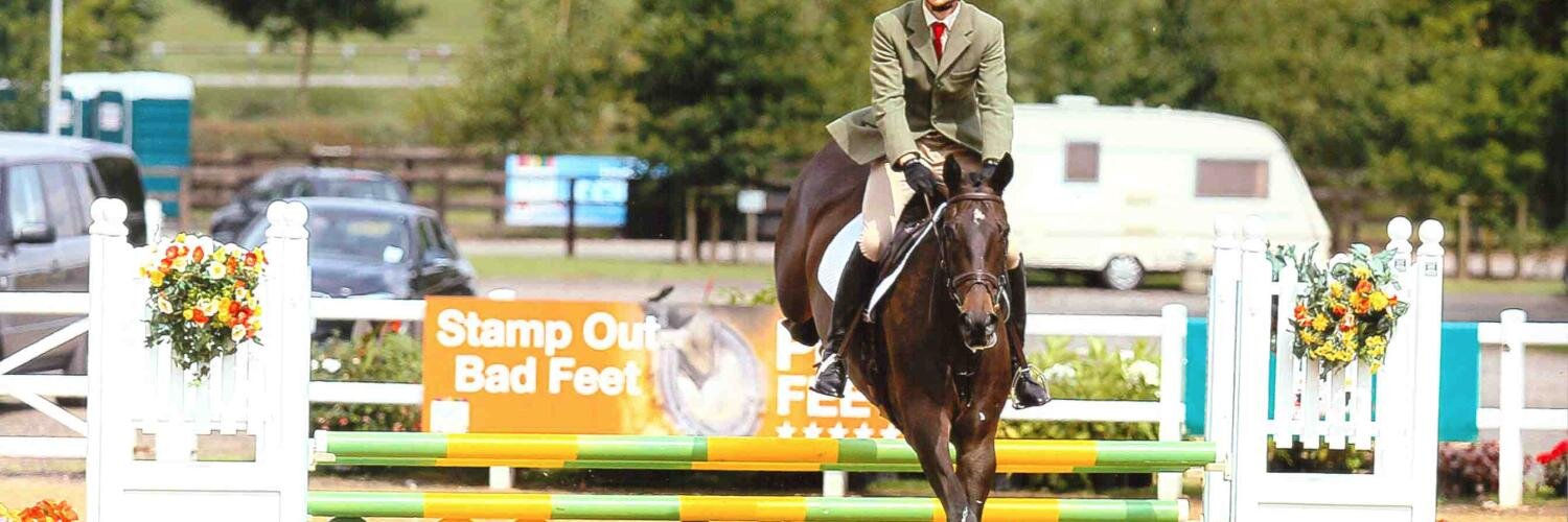 D&L Perf Horses banner