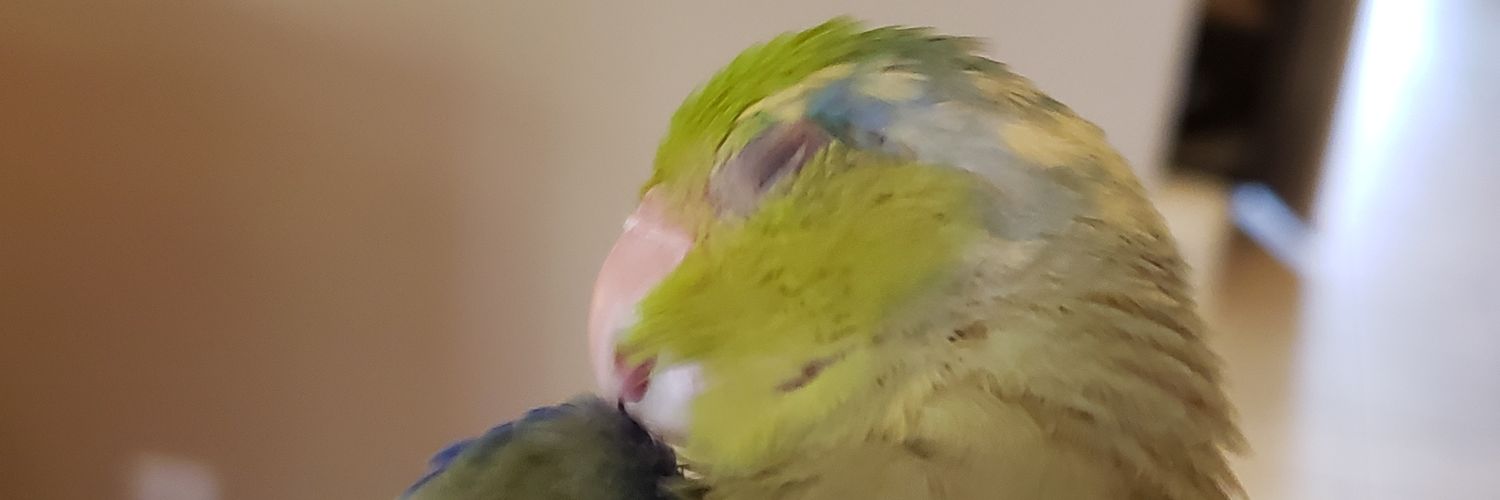 grey_area's profile banner image