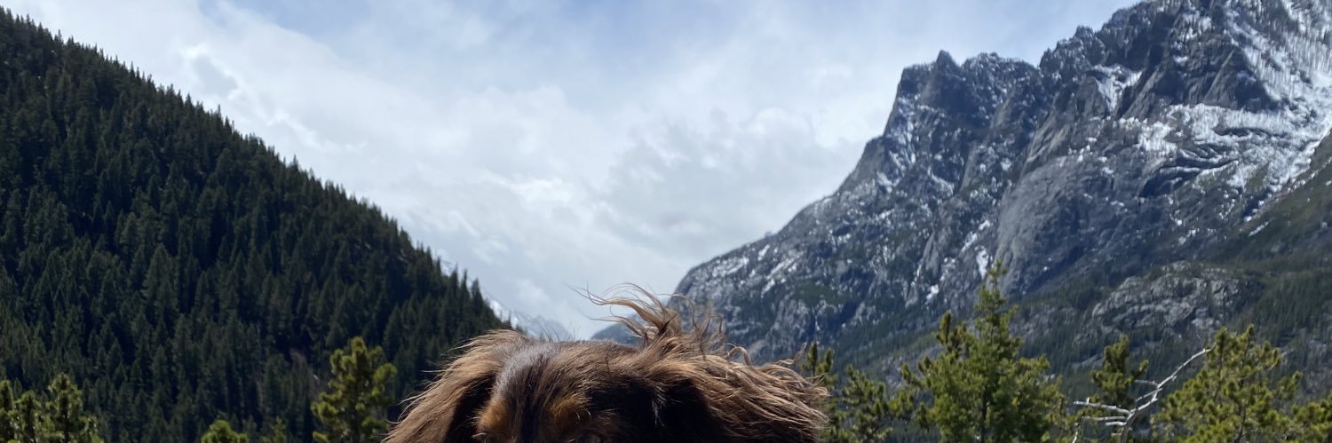 torigraceee13's profile banner image