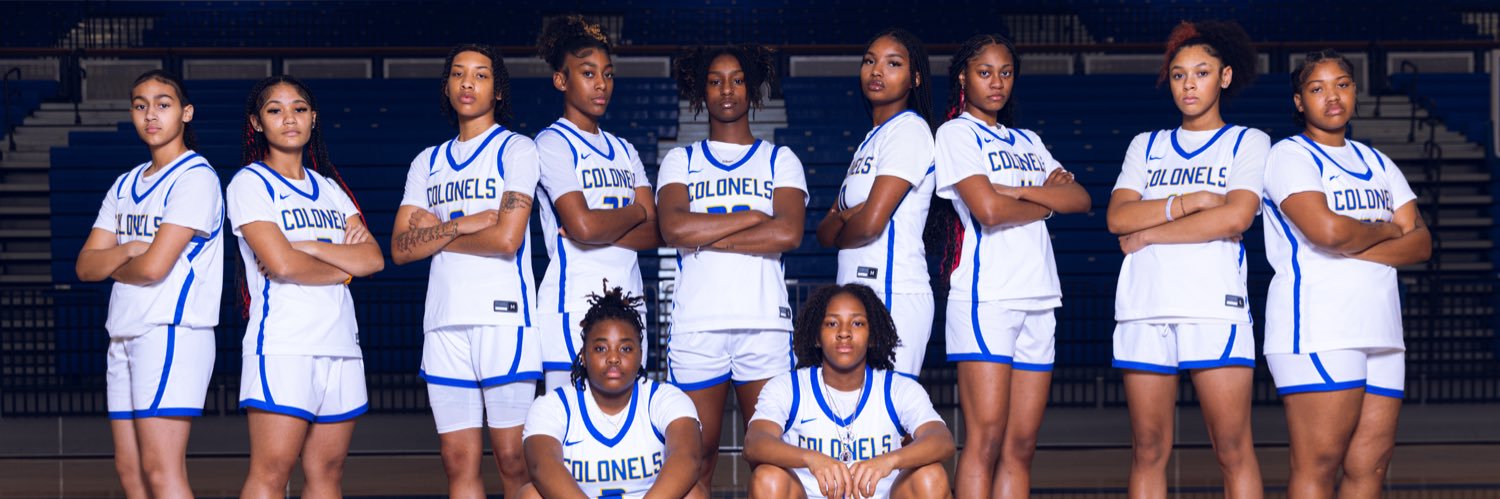 William Fleming Girls BB's banner