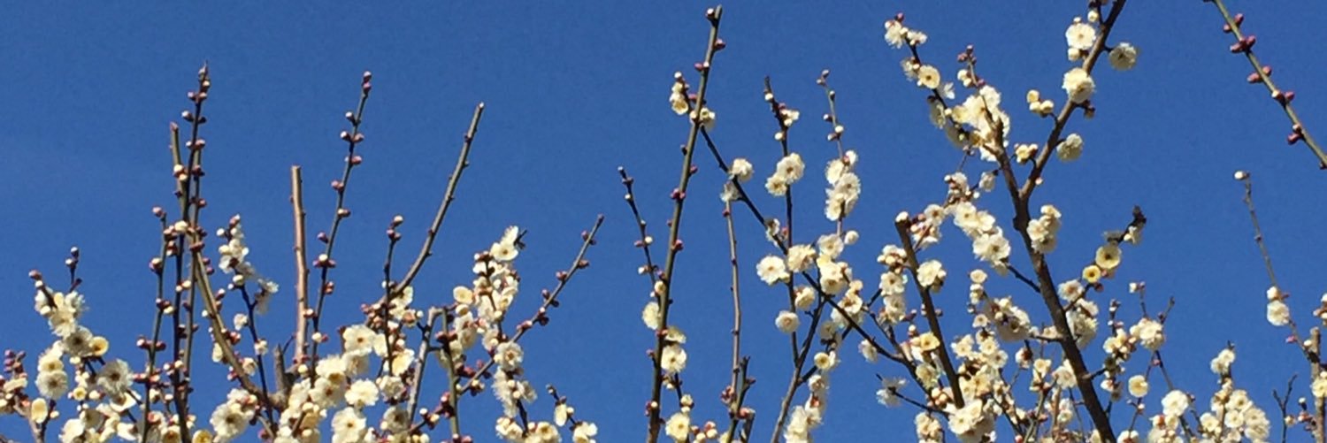 りょーこさん💮 banner