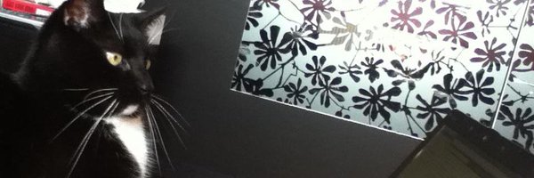 catswhocode Profile Banner