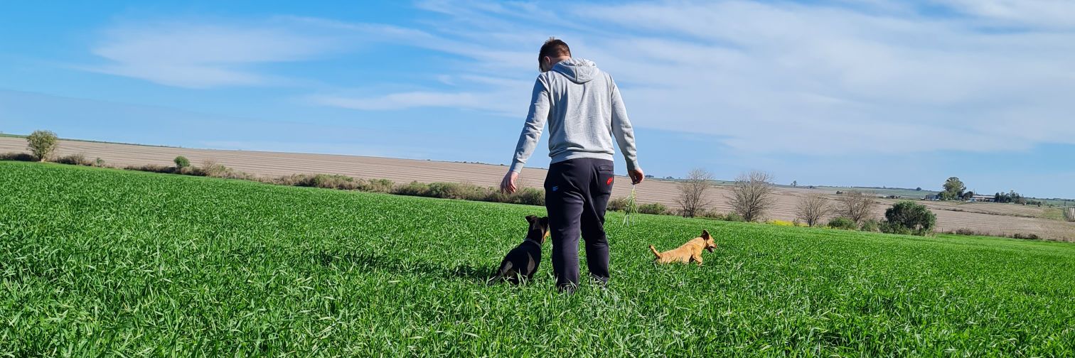 FrancoMaier's profile banner image