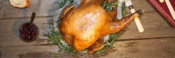 LydiardTurkeys Profile Banner