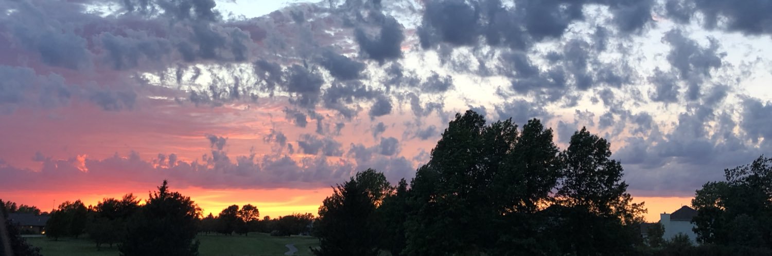 Maddison__murph's profile banner image