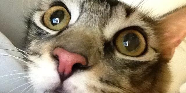 consommeeee's profile banner image