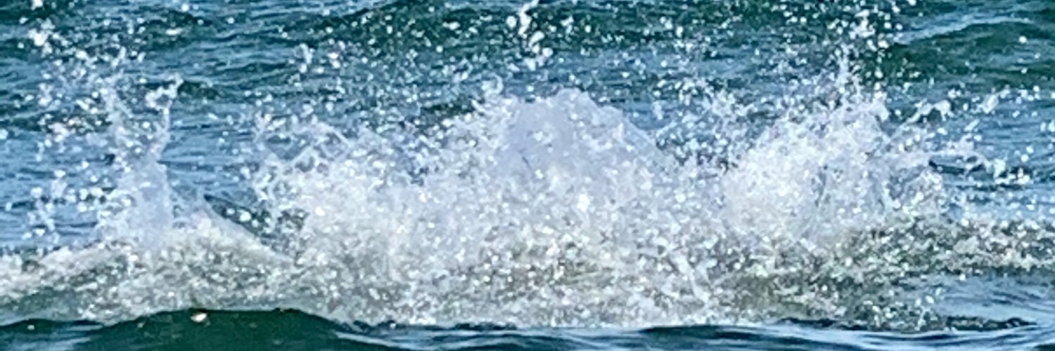FBien's profile banner image