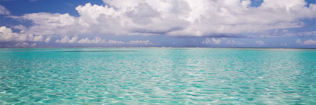 jasmine4173's profile banner image