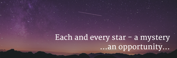 ginuster Profile Banner