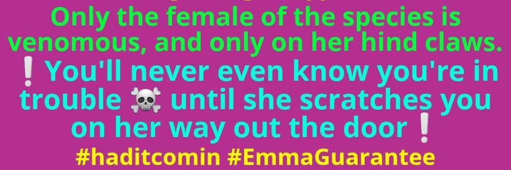 KarmaFreightTrain~Emma's House banner