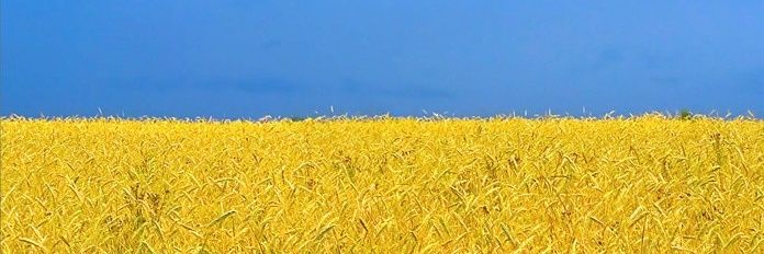 Ahalmena's profile banner image