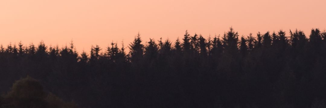 tekell_mavisii's profile banner image