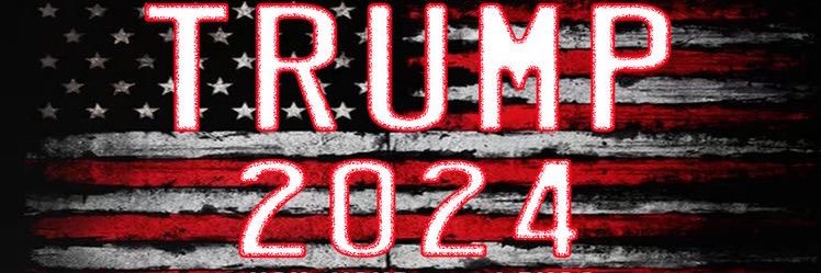 45TrumpsAll ❤️🤍💙🇺🇸's banner