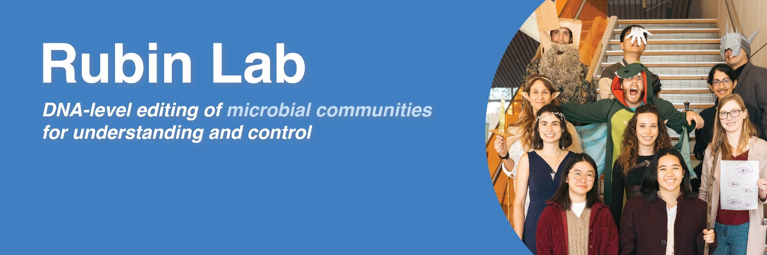 Rubin Lab's banner