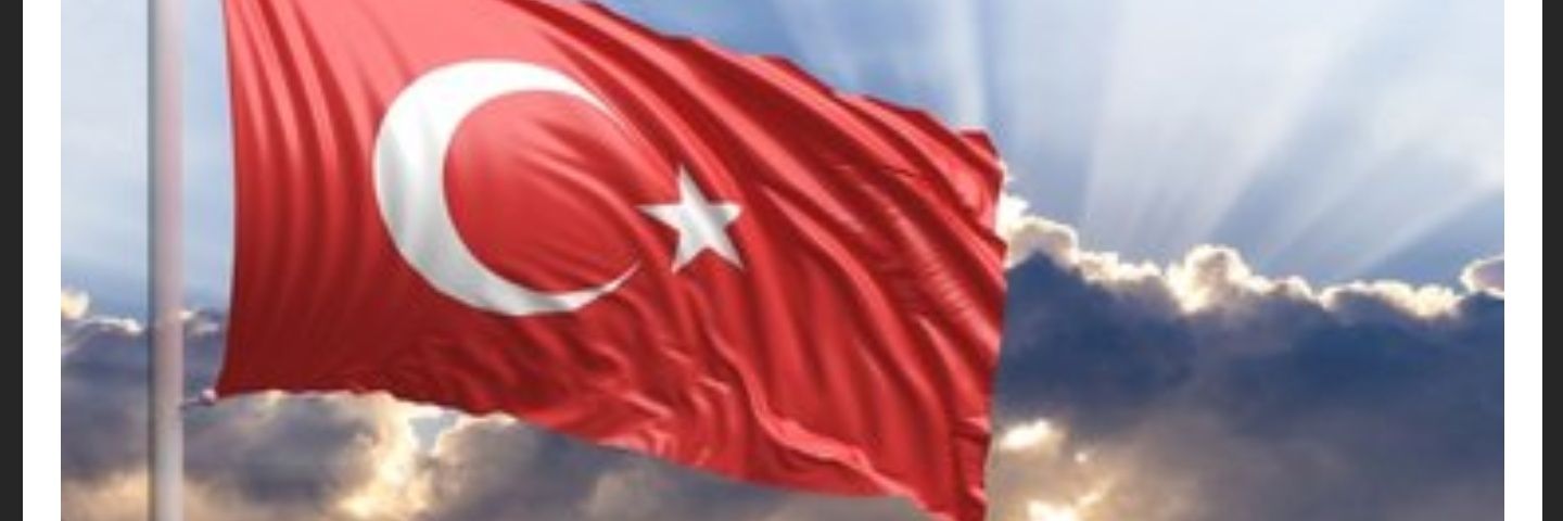 MGulyigit's profile banner image