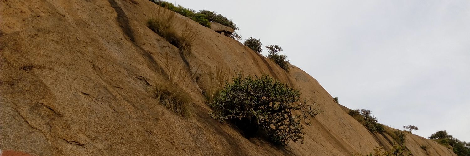 aryasoumen's profile banner image