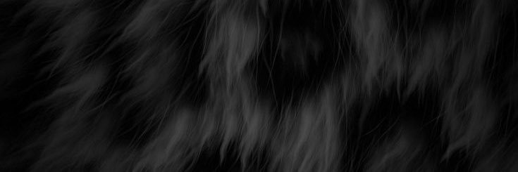 Marianaa_264's profile banner image