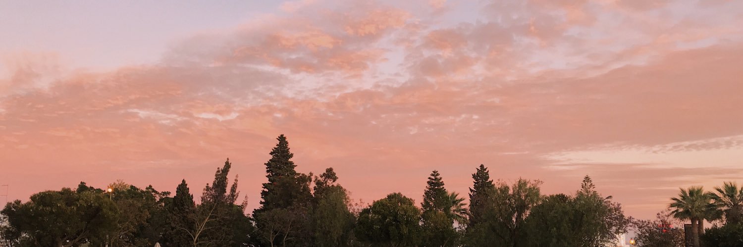 megxsss's profile banner image