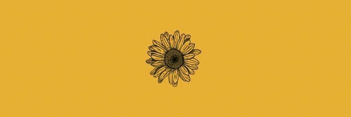 MAEGALPIN's profile banner image