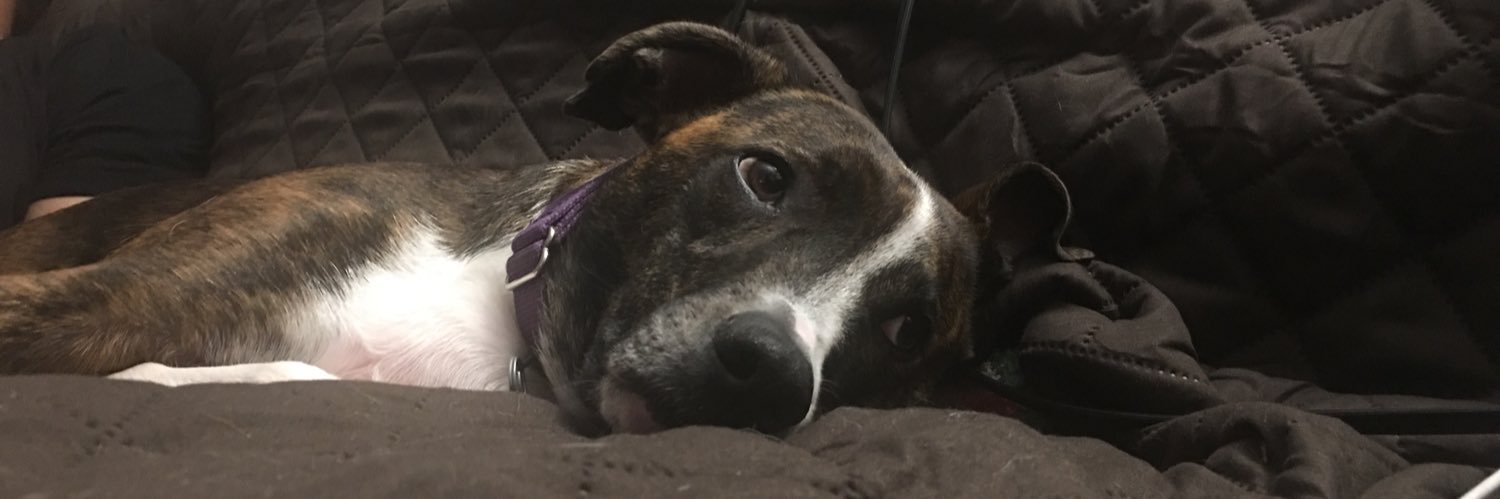 Lisa 🤦🏾‍♀️ banner