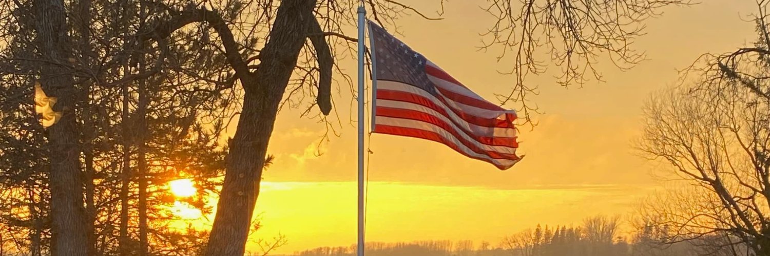 lauri from MN 🇺🇸❤️🇺🇸🤍🇺🇸💙 banner