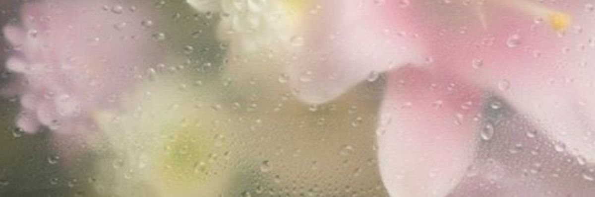 angeliccaaah's profile banner image