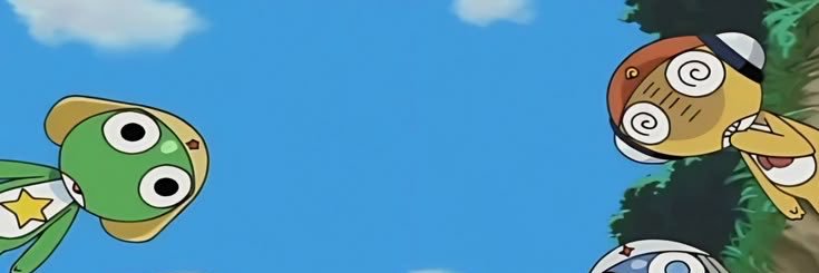 WIE banner