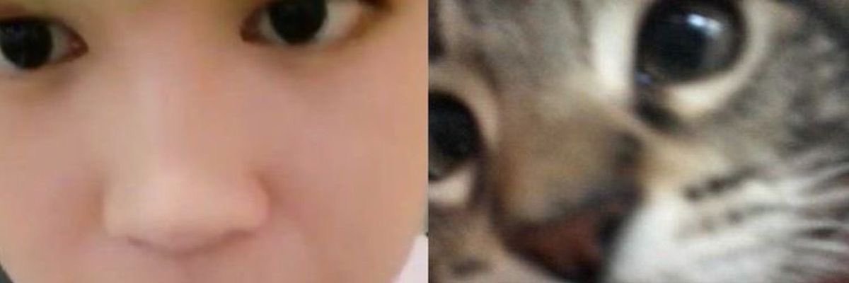 yoonmooncat's profile banner image
